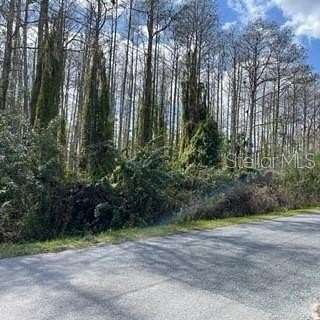 1.85 Acres of Residential Land for Sale in St. Cloud, Florida