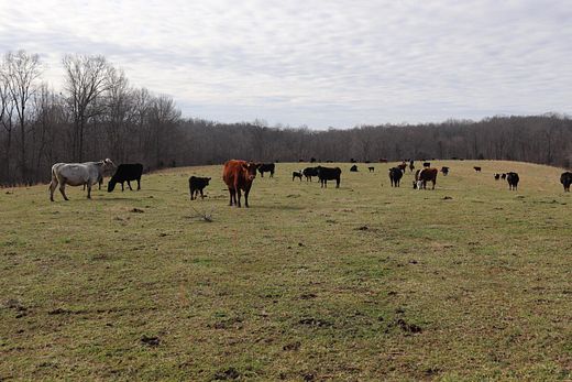 255 Acres of Recreational Land & Farm for Sale in Tompkinsville, Kentucky
