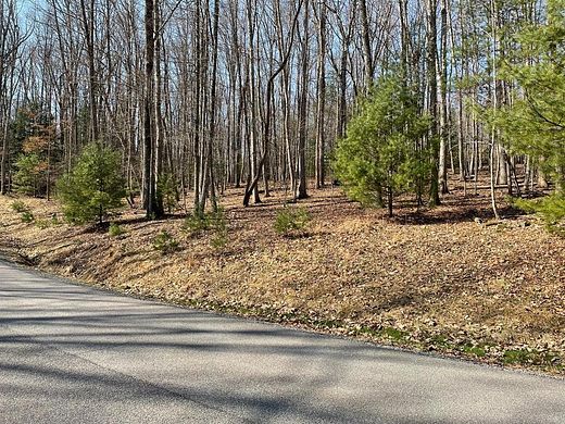 0.32 Acres of Residential Land for Sale in Daniels, West Virginia