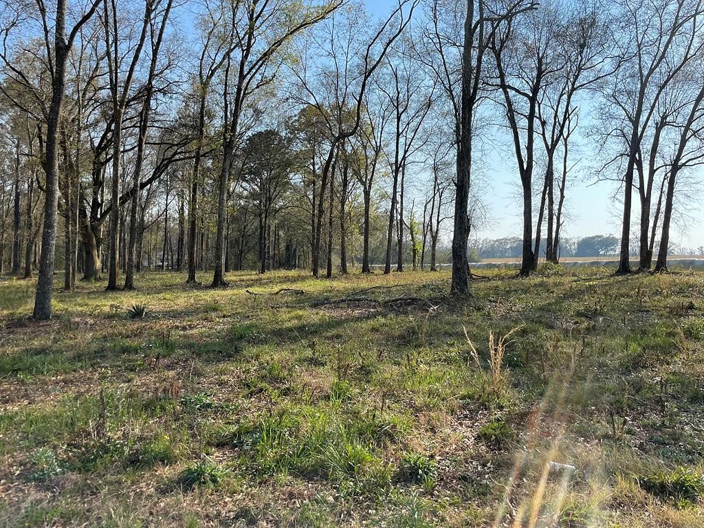 1.2 Acres of Residential Land for Sale in Cowarts, Alabama