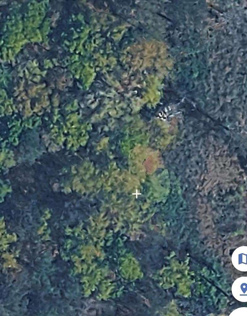 2.73 Acres of Residential Land for Sale in Cowarts, Alabama
