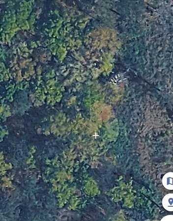 2.73 Acres of Residential Land for Sale in Cowarts, Alabama