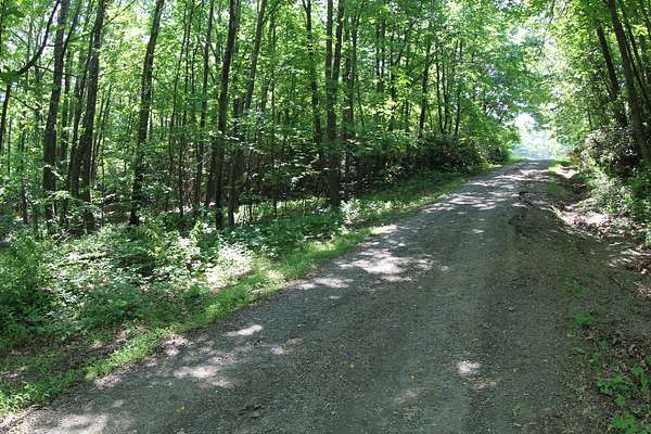 8.64 Acres of Agricultural Land for Sale in Meadows of Dan, Virginia