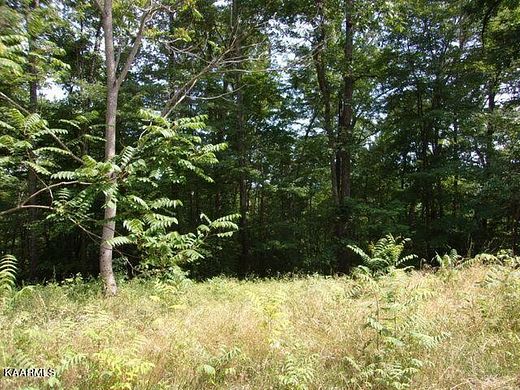 1.33 Acres of Residential Land for Sale in New Tazewell, Tennessee