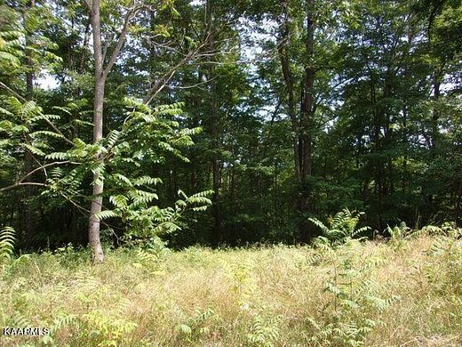 1.3 Acres of Residential Land for Sale in New Tazewell, Tennessee