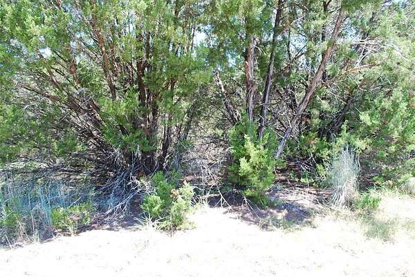 0.26 Acres of Residential Land for Sale in Whitney, Texas