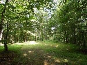 16.5 Acres of Land for Sale in Monticello, Kentucky