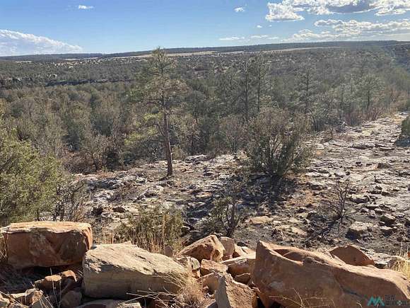 280.5 Acres of Agricultural Land for Sale in Roy, New Mexico