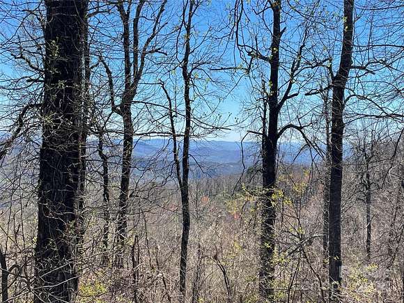 10.5 Acres of Land for Sale in Black Mountain, North Carolina
