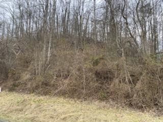 10 Acres of Recreational Land for Sale in Sitka, Kentucky