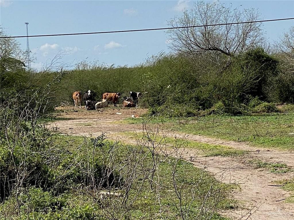 17.1 Acres of Land for Sale in Mission, Texas