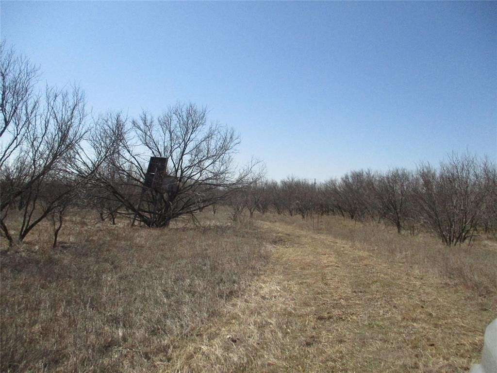 13.6 Acres of Land for Sale in Bluegrove, Texas