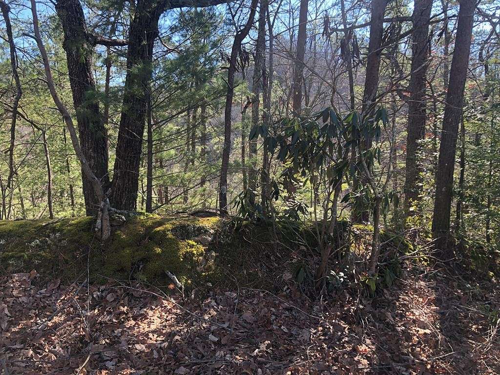 0.23 Acres of Residential Land for Sale in Sevierville, Tennessee