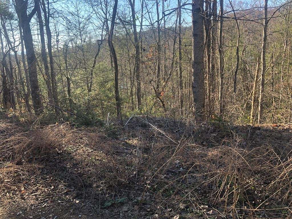 0.3 Acres of Residential Land for Sale in Sevierville, Tennessee