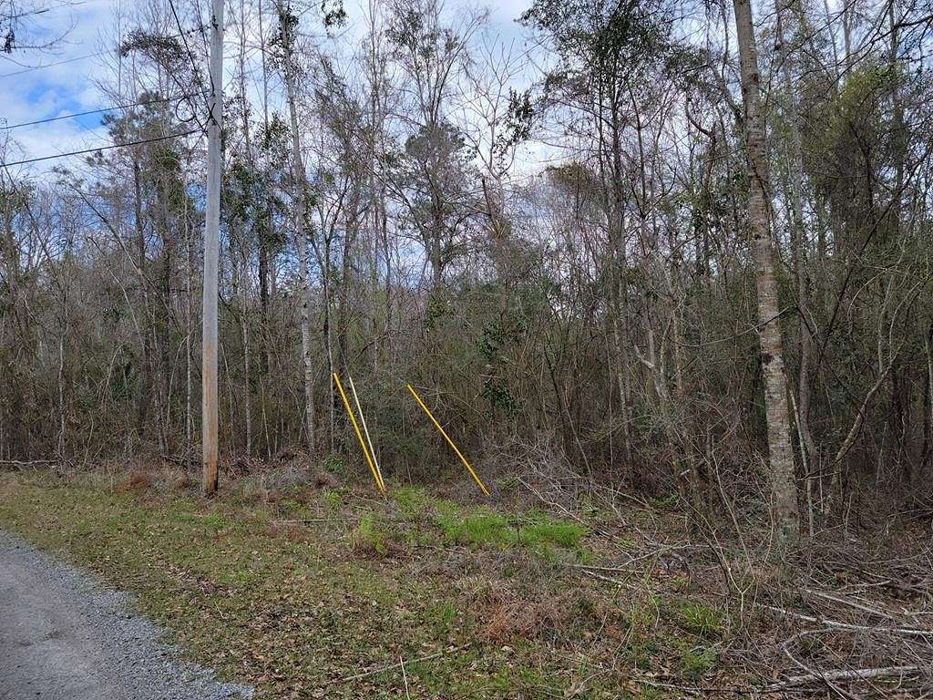 4 Acres of Residential Land for Sale in Carriere, Mississippi