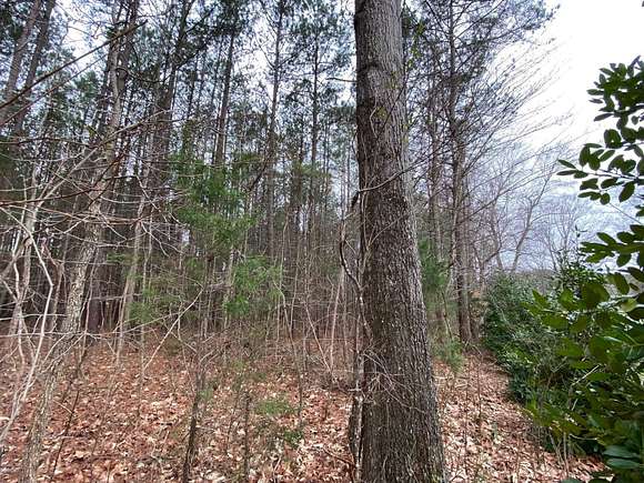 14.3 Acres of Land for Sale in Littleton, North Carolina