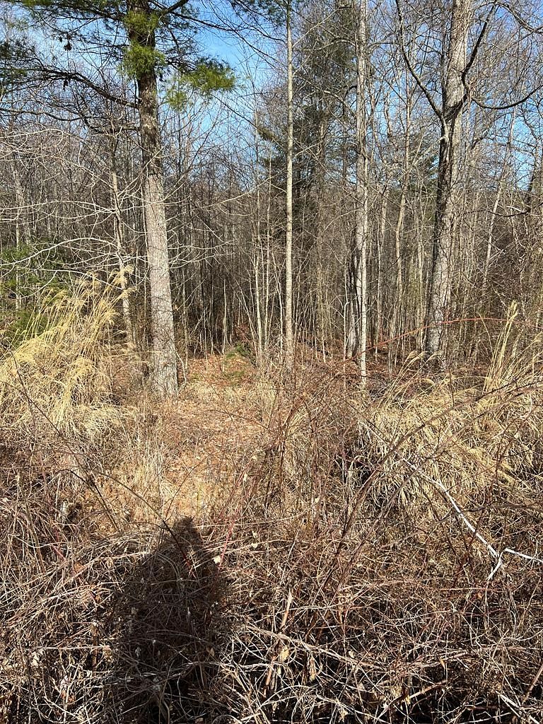 0.89 Acres of Residential Land for Sale in Galax, Virginia
