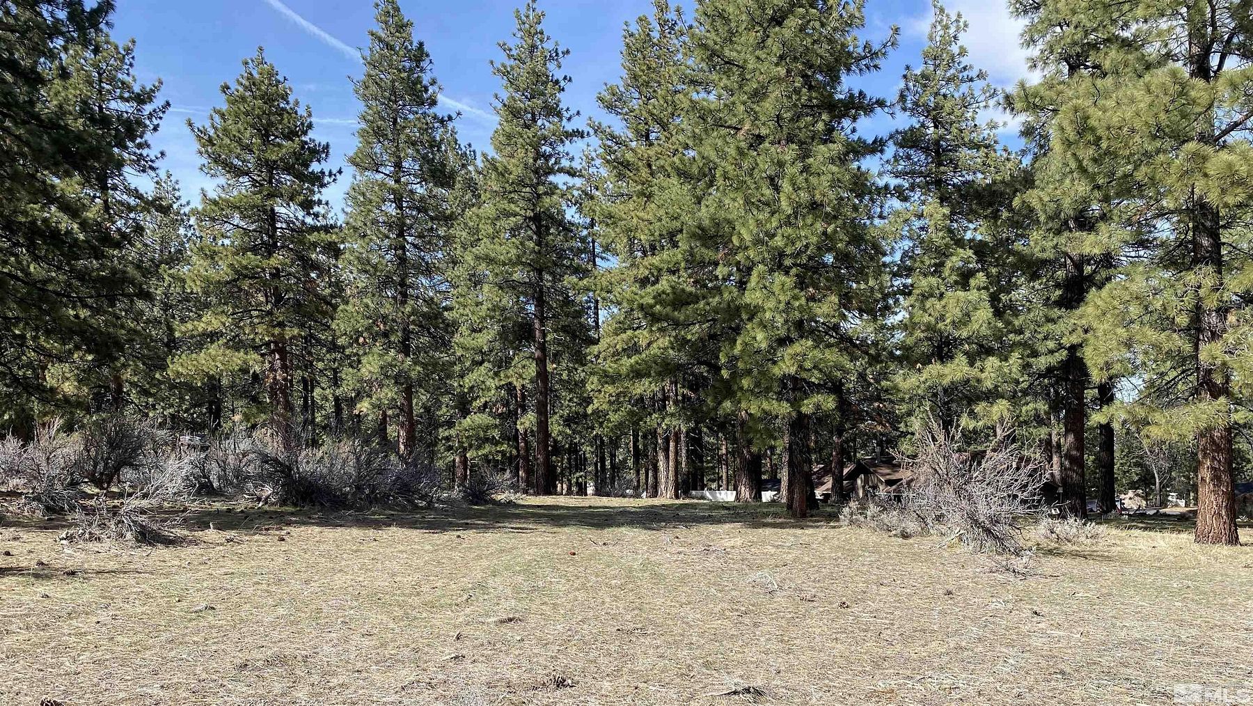 1.2 Acres of Residential Land for Sale in Carson City, Nevada