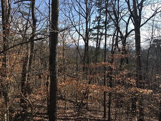 0.4 Acres of Residential Land for Sale in White Pine, Tennessee