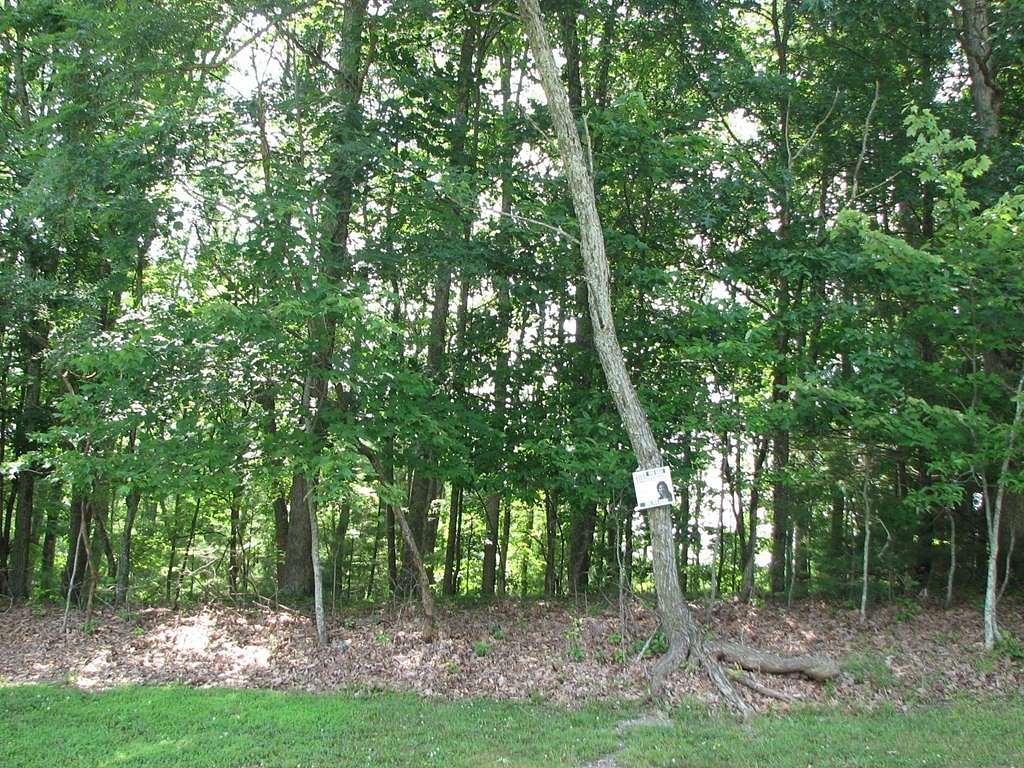 0.33 Acres of Land for Sale in Daniels, West Virginia