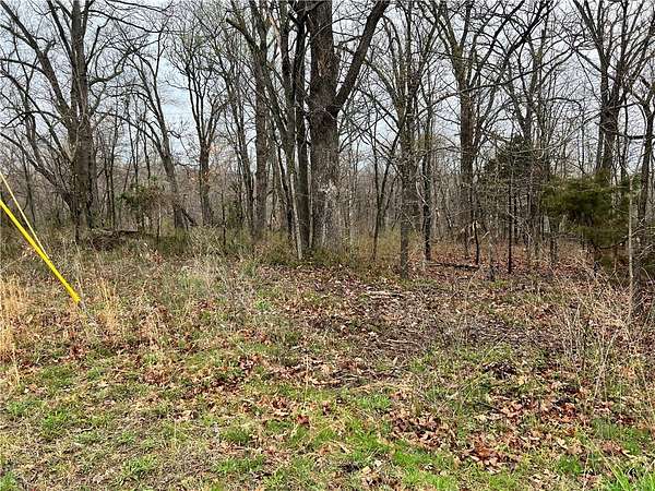 0.31 Acres of Residential Land for Sale in Bella Vista, Arkansas