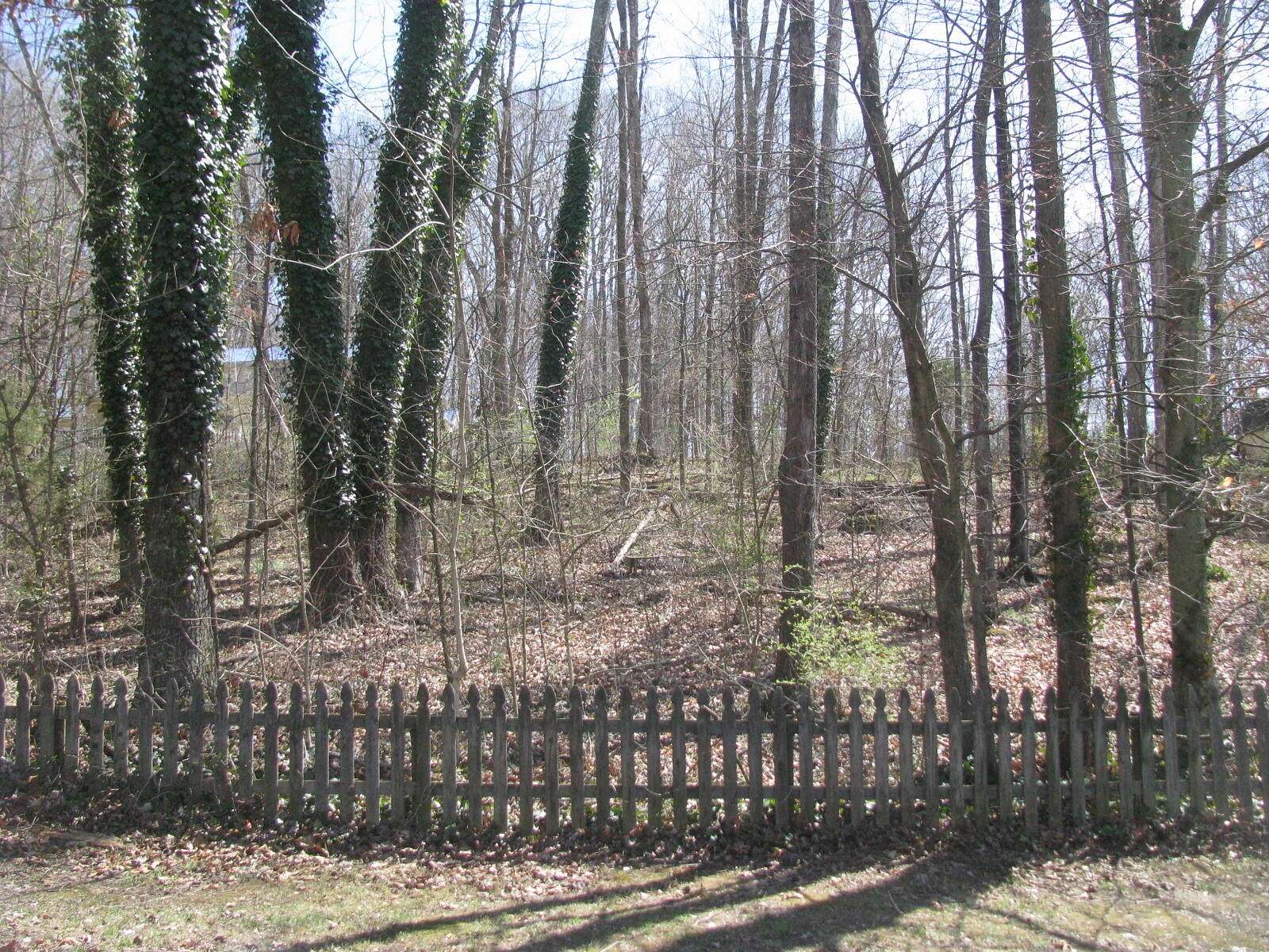 Residential Land for Sale in Church Hill, Tennessee