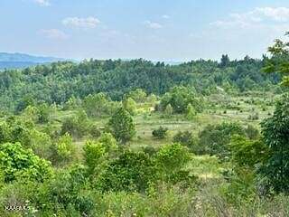 40 Acres of Land for Sale in Jellico, Tennessee