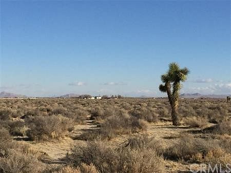 19.3 Acres of Land for Sale in Roosevelt, California