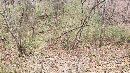 3.7 Acres of Residential Land for Sale in McGrady, North Carolina