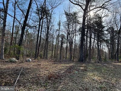 1.5 Acres of Commercial Land for Sale in Mineral, Virginia