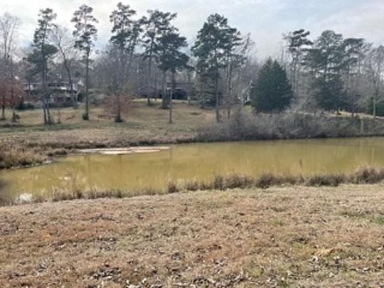 3 Acres of Land for Sale in Andalusia, Alabama
