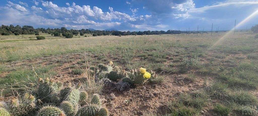 0.26 Acres of Residential Land for Sale in Walsenburg, Colorado