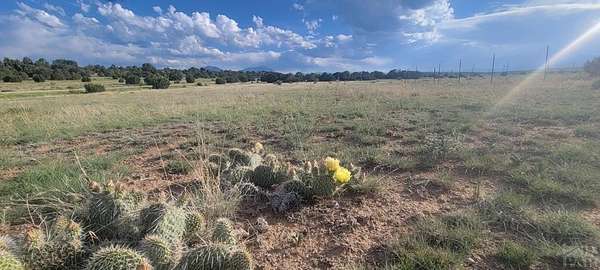 0.26 Acres of Land for Sale in Walsenburg, Colorado