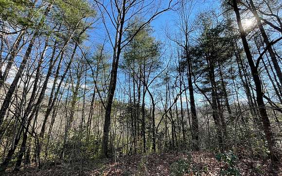 2.5 Acres of Residential Land for Sale in Hayesville, North Carolina