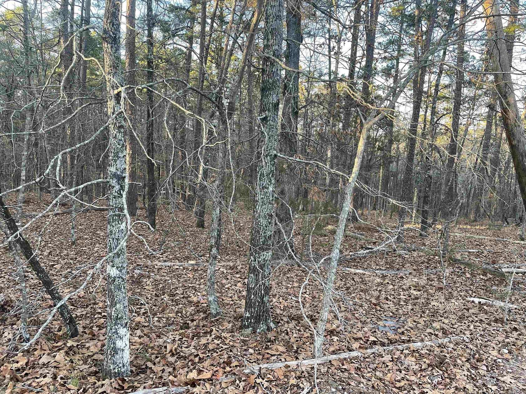 0.24 Acres of Residential Land for Sale in Hot Springs Village, Arkansas