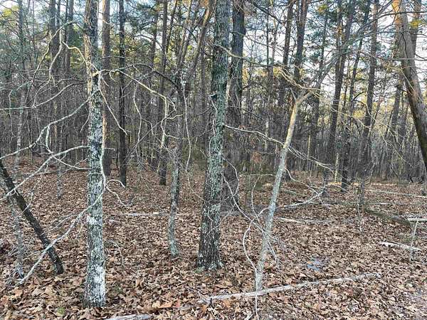 0.24 Acres of Residential Land for Sale in Hot Springs Village, Arkansas