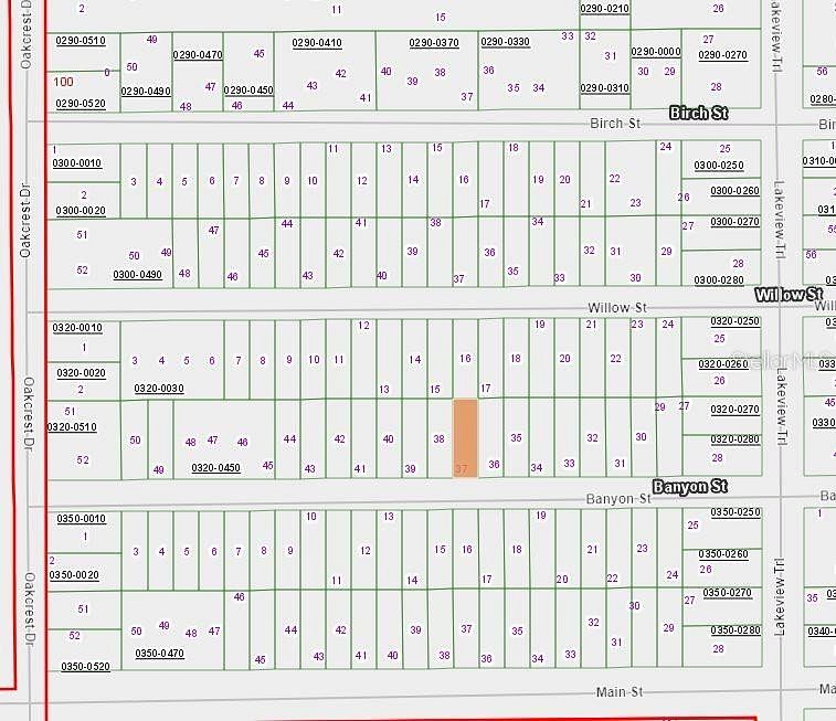 0.22 Acres of Residential Land for Sale in Interlachen, Florida