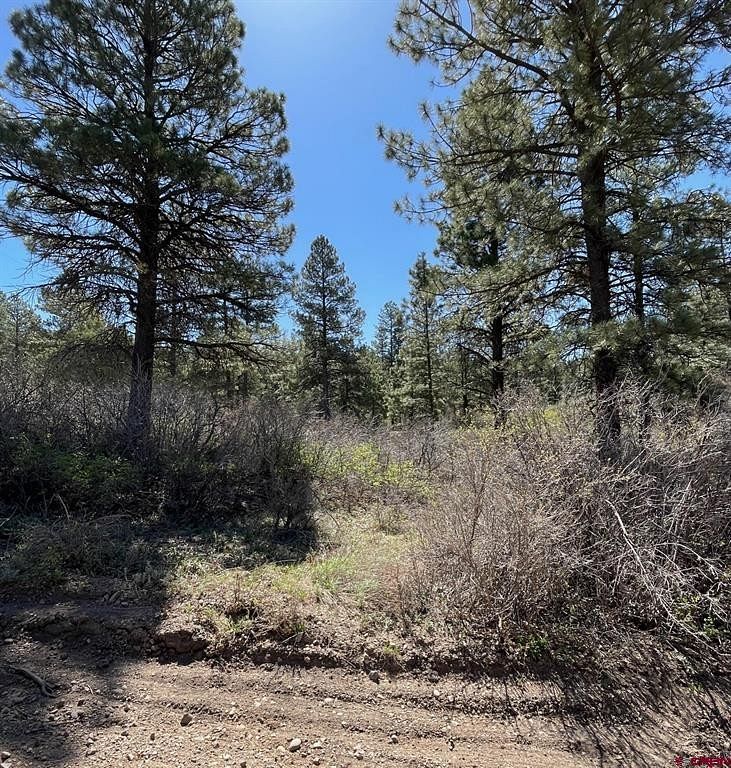 1.8 Acres of Residential Land for Sale in Pagosa Springs, Colorado