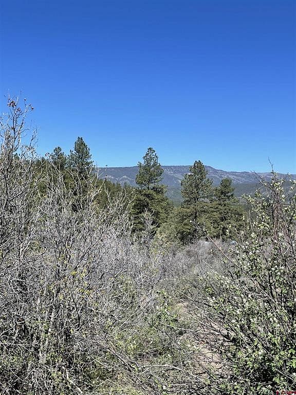 1.4 Acres of Residential Land for Sale in Pagosa Springs, Colorado