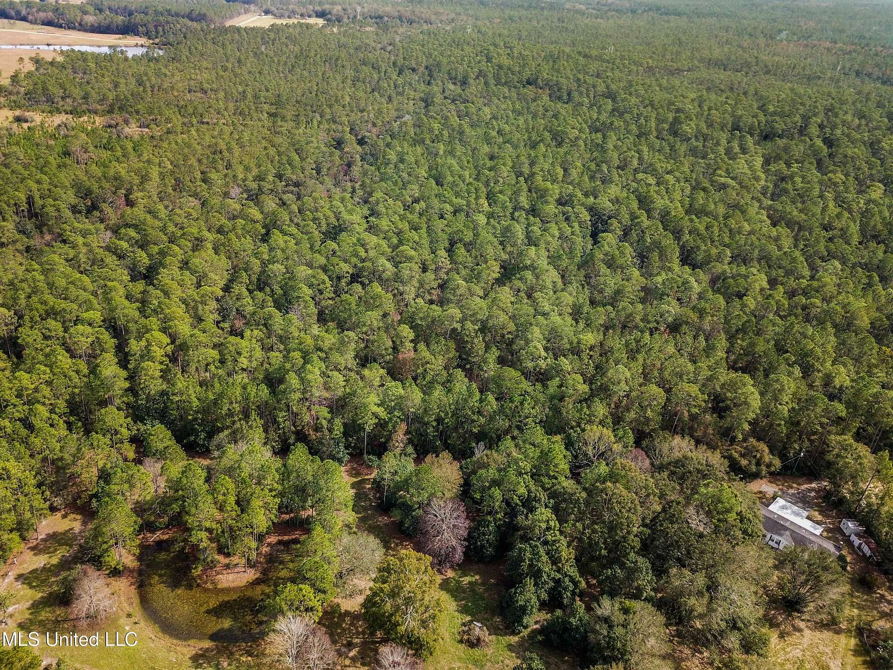 215.18 Acres of Land for Sale in Vancleave, Mississippi