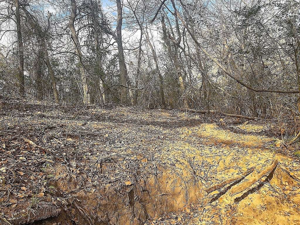 35 Acres of Recreational Land for Sale in Schulenburg, Texas