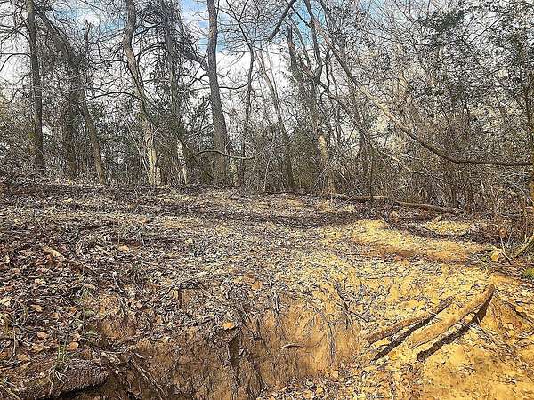 35 Acres of Recreational Land for Sale in Schulenburg, Texas