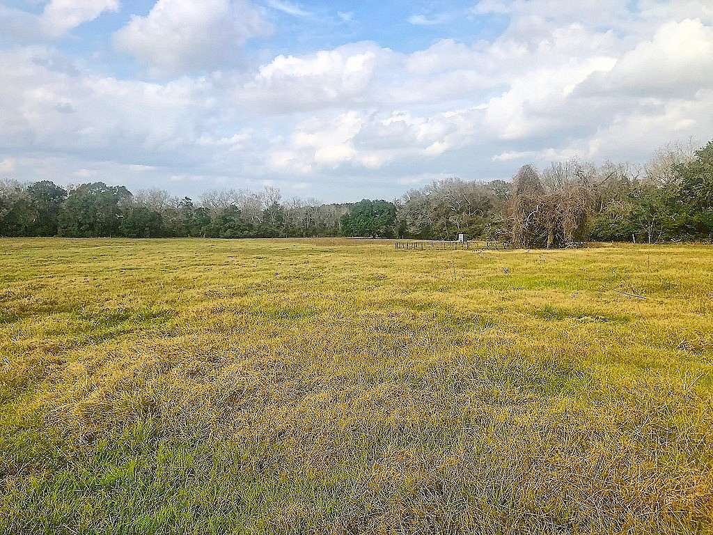 38 Acres of Recreational Land for Sale in Schulenburg, Texas