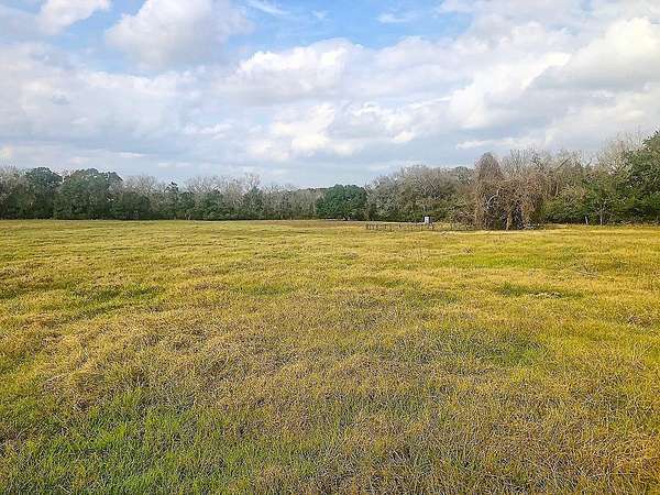 38 Acres of Recreational Land for Sale in Schulenburg, Texas