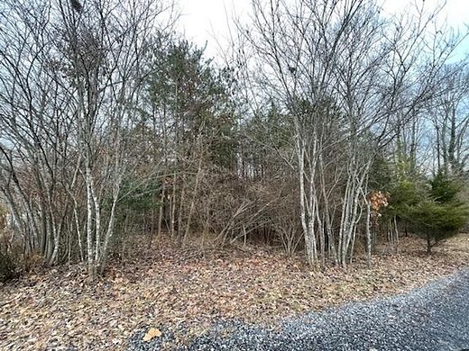 0.5 Acres of Land for Sale in Moneta, Virginia