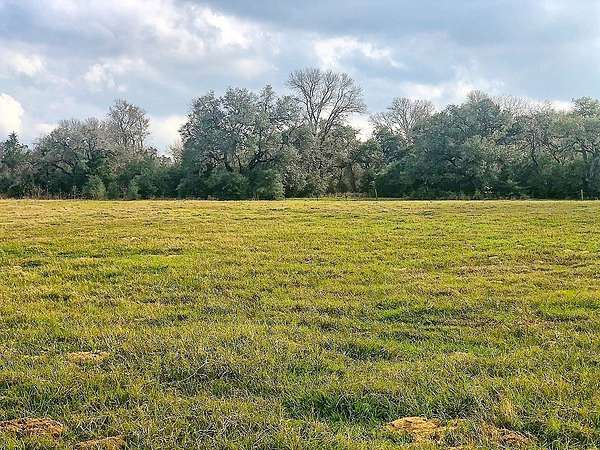 22.5 Acres of Recreational Land for Sale in Schulenburg, Texas