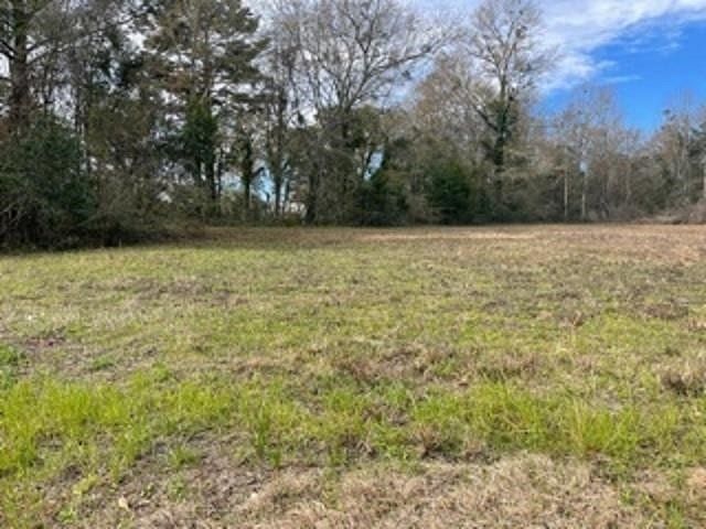 2.5 Acres of Land for Sale in Andalusia, Alabama