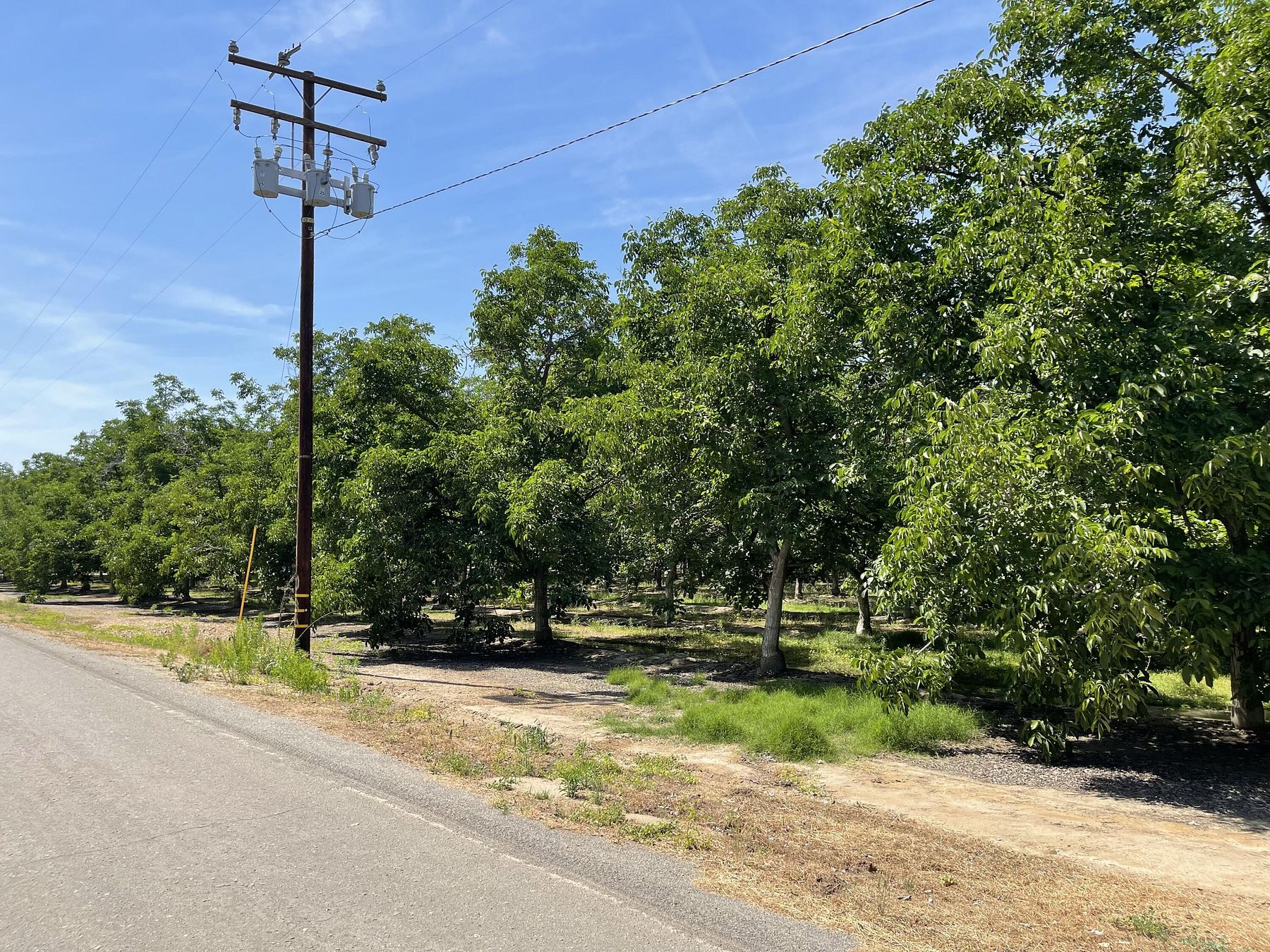 19.4 Acres of Agricultural Land for Sale in Porterville, California