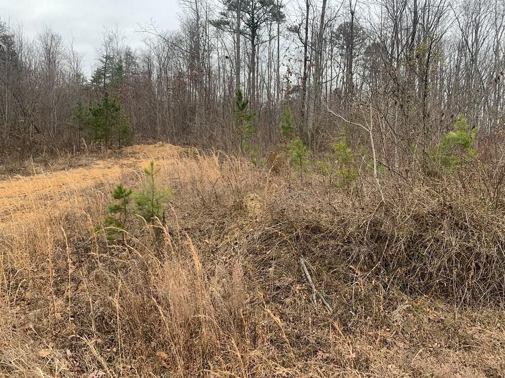 70 Acres of Land for Sale in Dayton, Tennessee