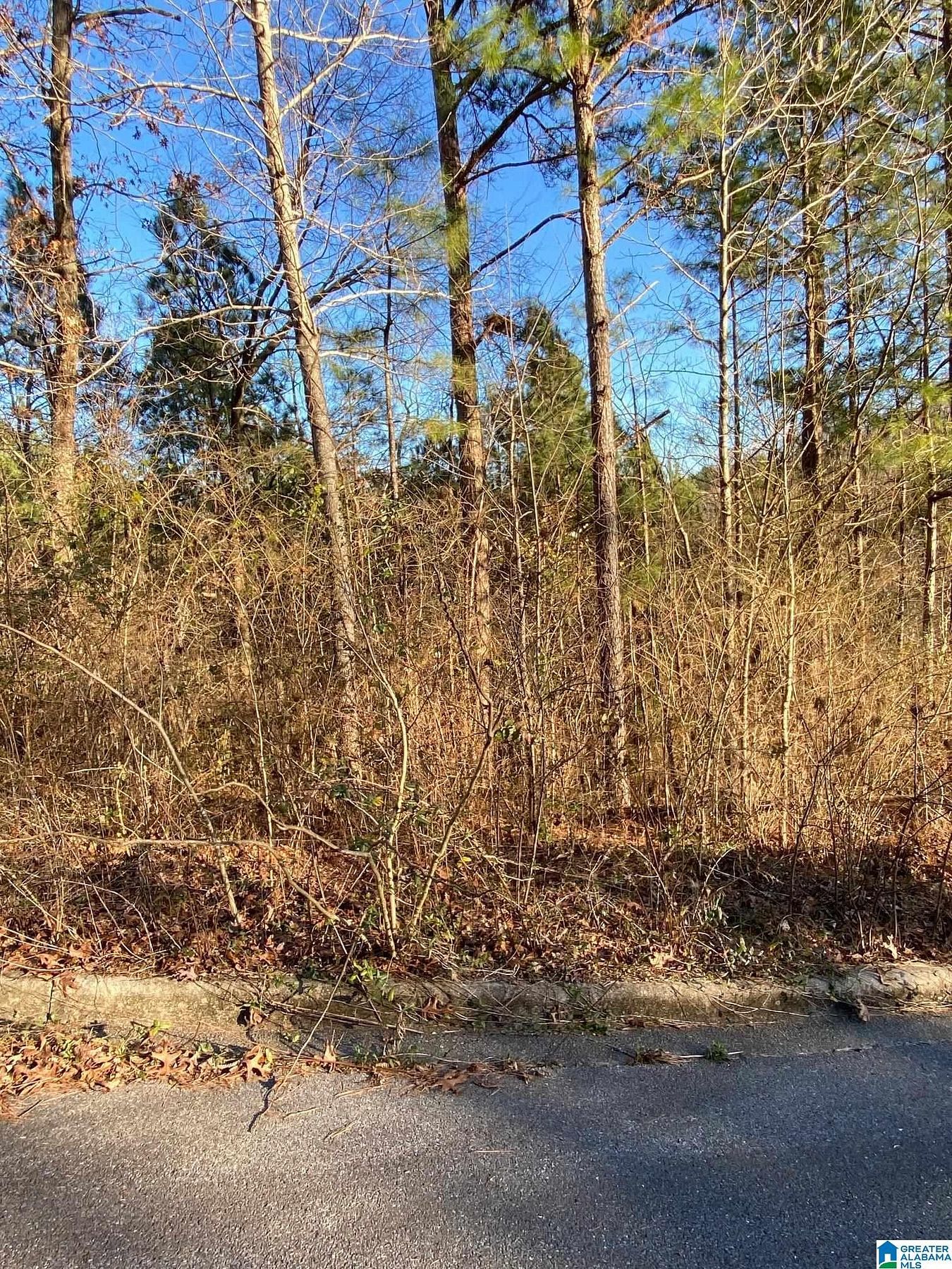 1.4 Acres of Residential Land for Sale in Springville, Alabama